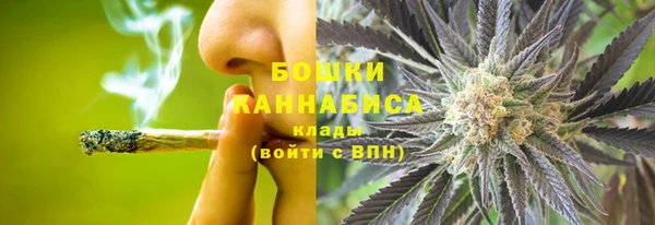 дурь Аркадак