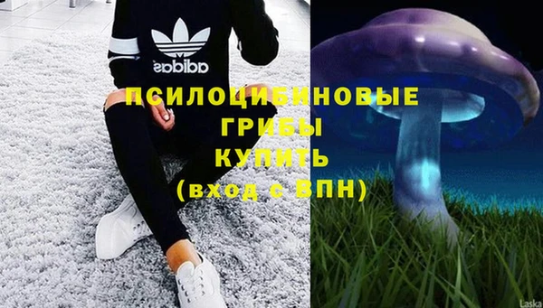 таблы Армянск