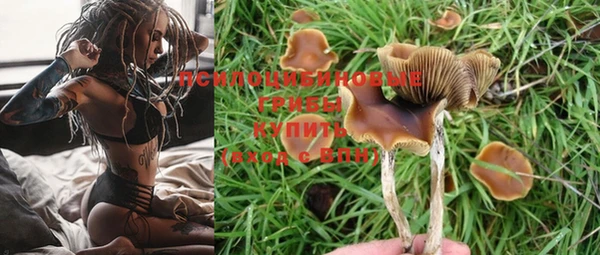дурь Аркадак