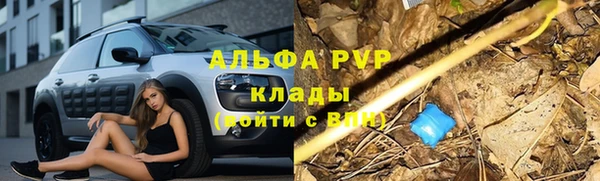 дурь Аркадак