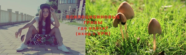таблы Армянск
